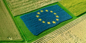 UE en campo